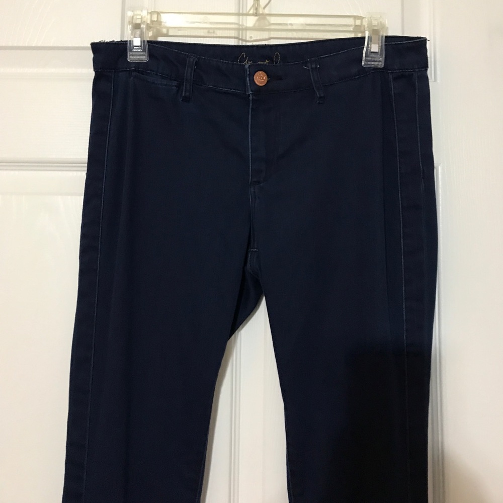 Chip & Pepper Skinny Jeans